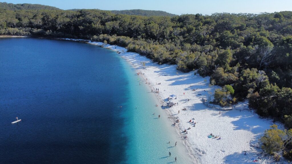 Aerial view of a beach with white sand and clear blue water bordered by dense forest. People are sunbathing, swimming, and paddleboarding.