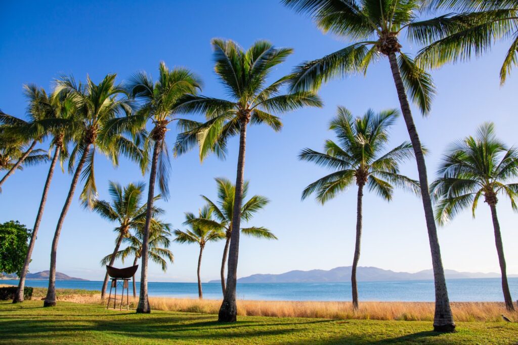 Tropical beach scene with tall palm trees, clear blue sky, and an ocean view with distant mountains.