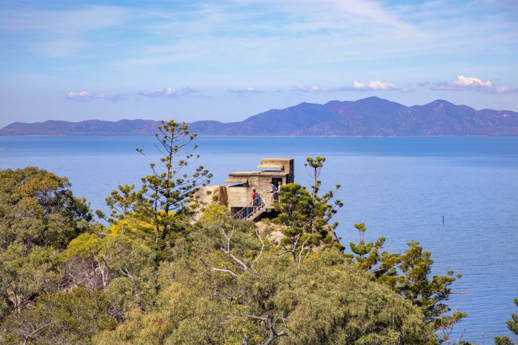 A person stands on a lookout platform surrounded by trees, overlooking a body of water with mountains in the background.