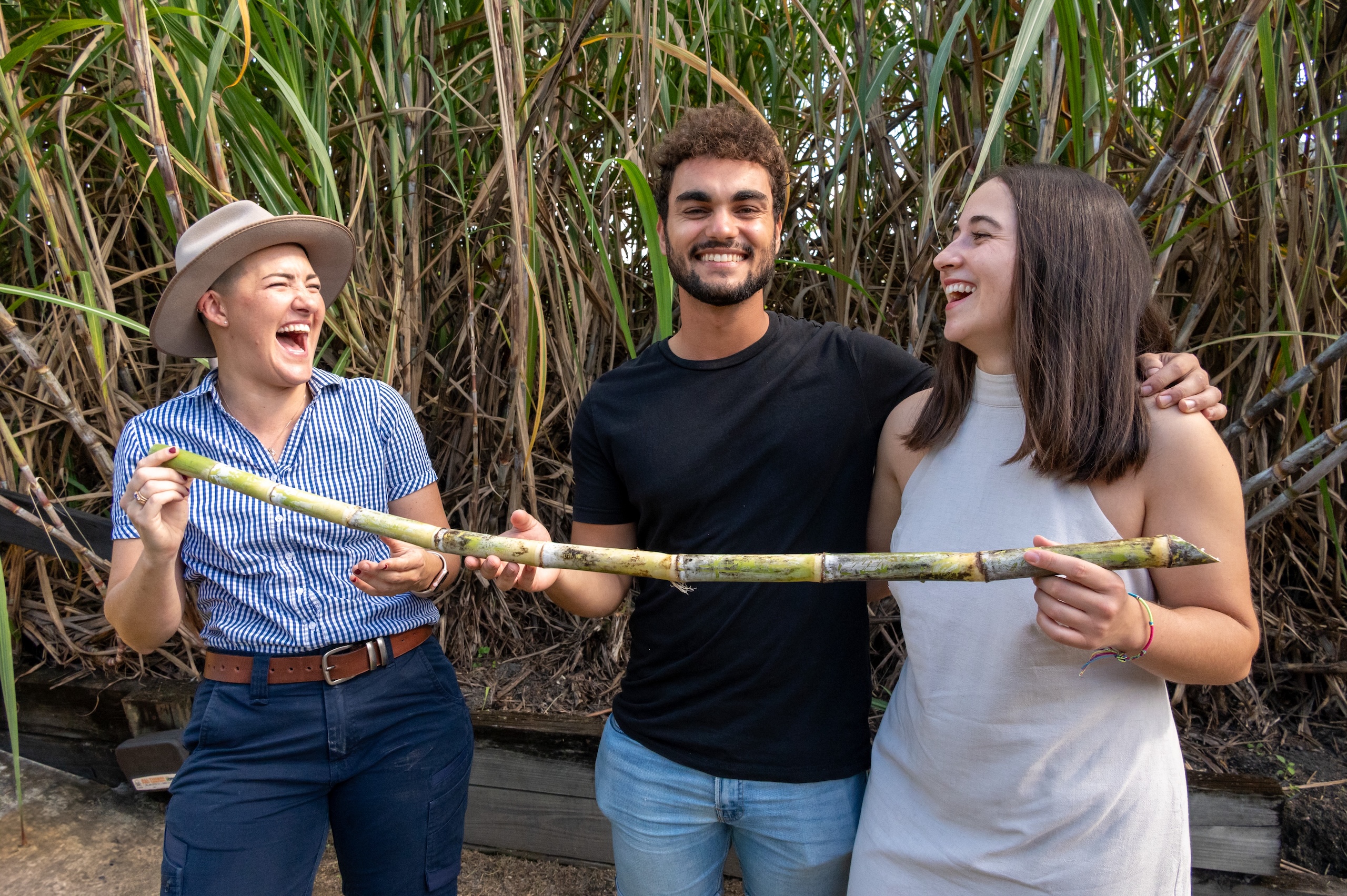 Three people stand outdoors in front of tall plants, smiling and holding a long stalk of sugarcane together.
