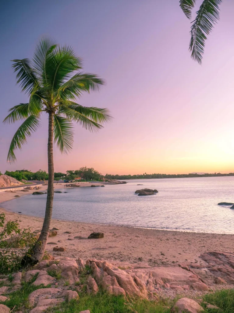 A peaceful beach scene during sunset, featuring a lone palm tree, calm waters, rocks, sandy shore, and a clear sky transitioning from pink to purple hues.
