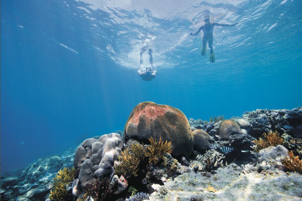 Two snorkelers swim above a vibrant coral reef under clear blue water.
