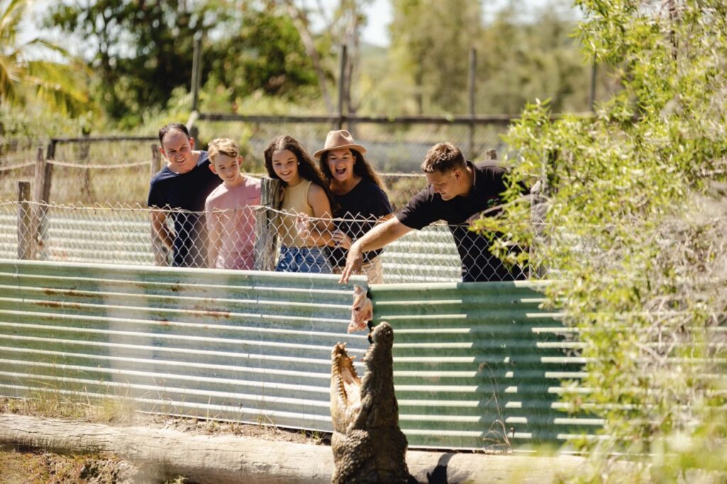 A group of people observes a person feeding a crocodile through a fence in a zoo setting.