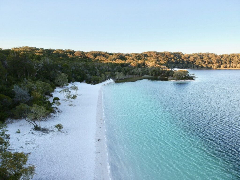A serene beach scene with white sand on the left and calm blue-green water on the right, bordered by lush green trees under a clear sky.