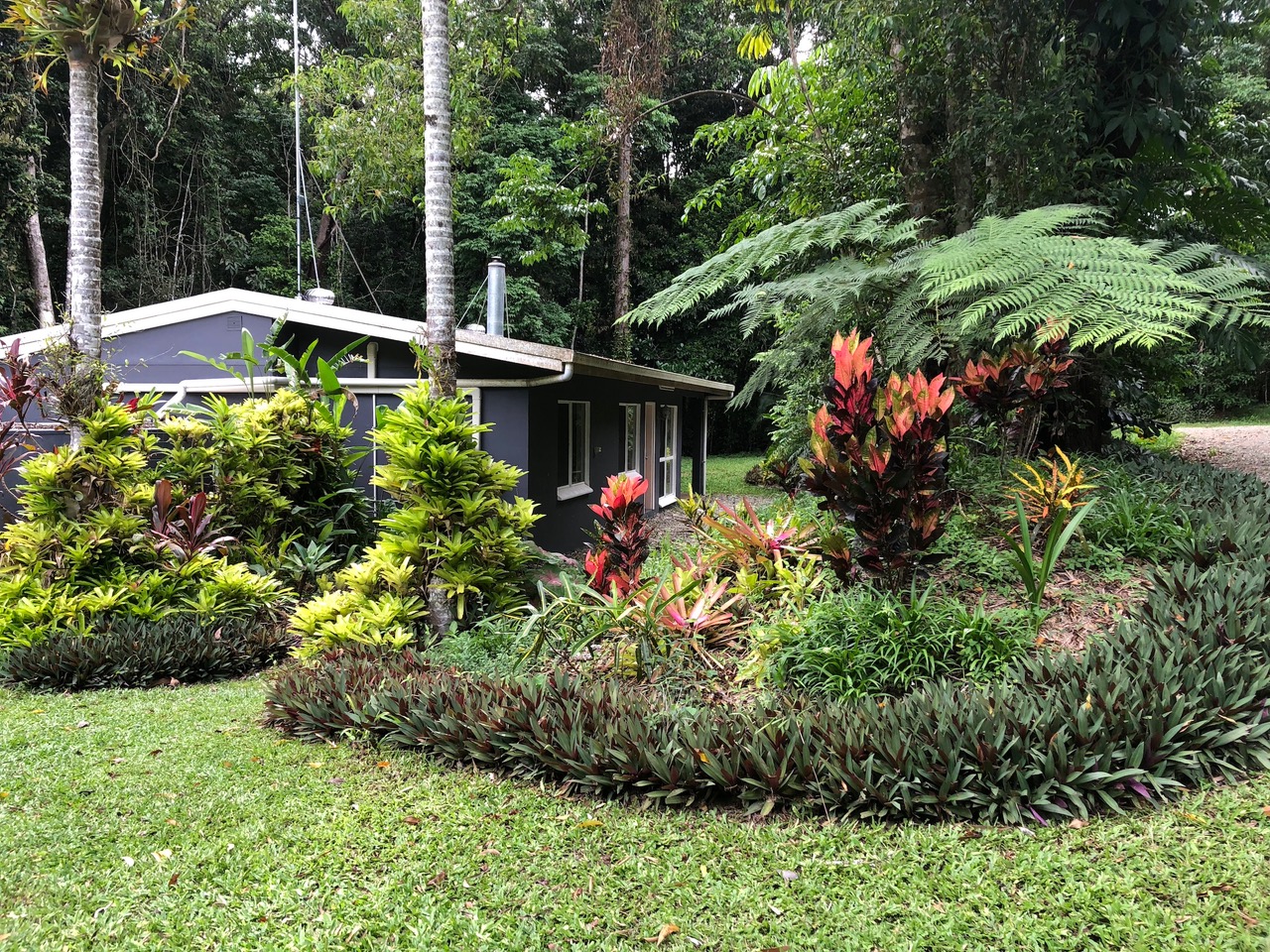 A small gray house surrounded by lush greenery and colorful plants in a tropical garden setting.