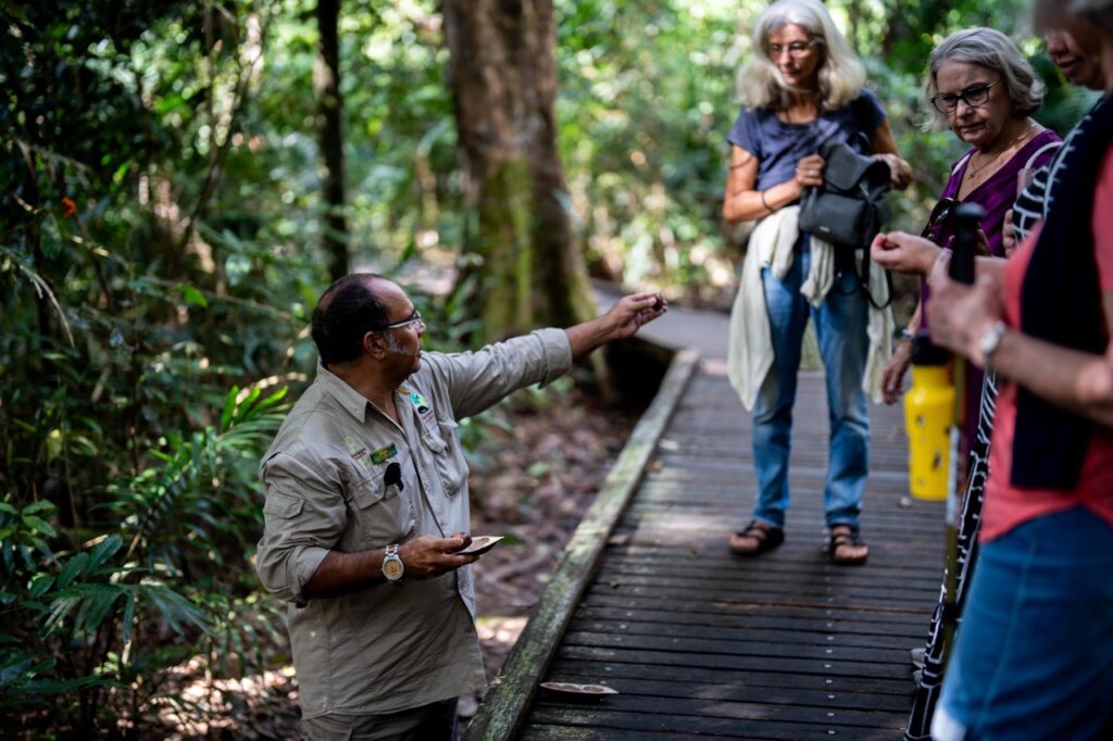 A guide explains something to three visitors on a wooden walkway surrounded by dense forest.