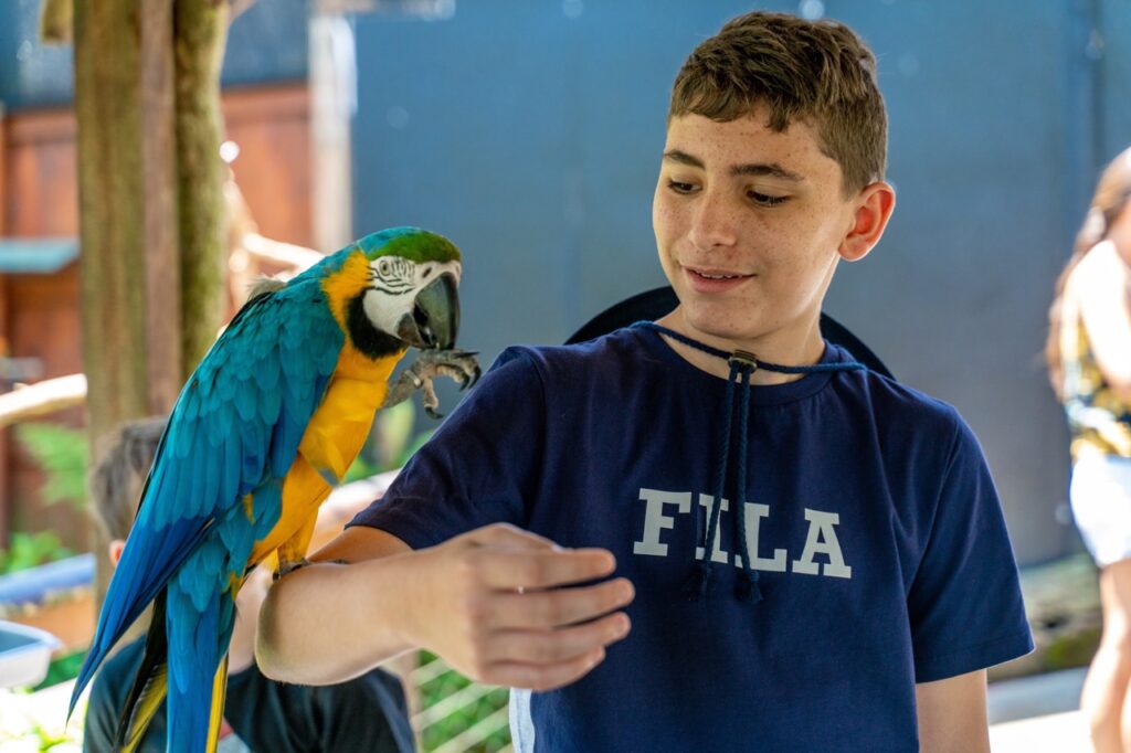 A young man interacts with a blue and yellow macaw perched on his arm in an outdoor setting.