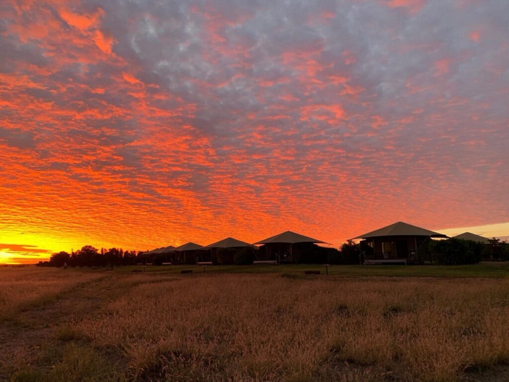 A row of tents under a vibrant orange and red sunset sky, with a grassy field in the foreground.