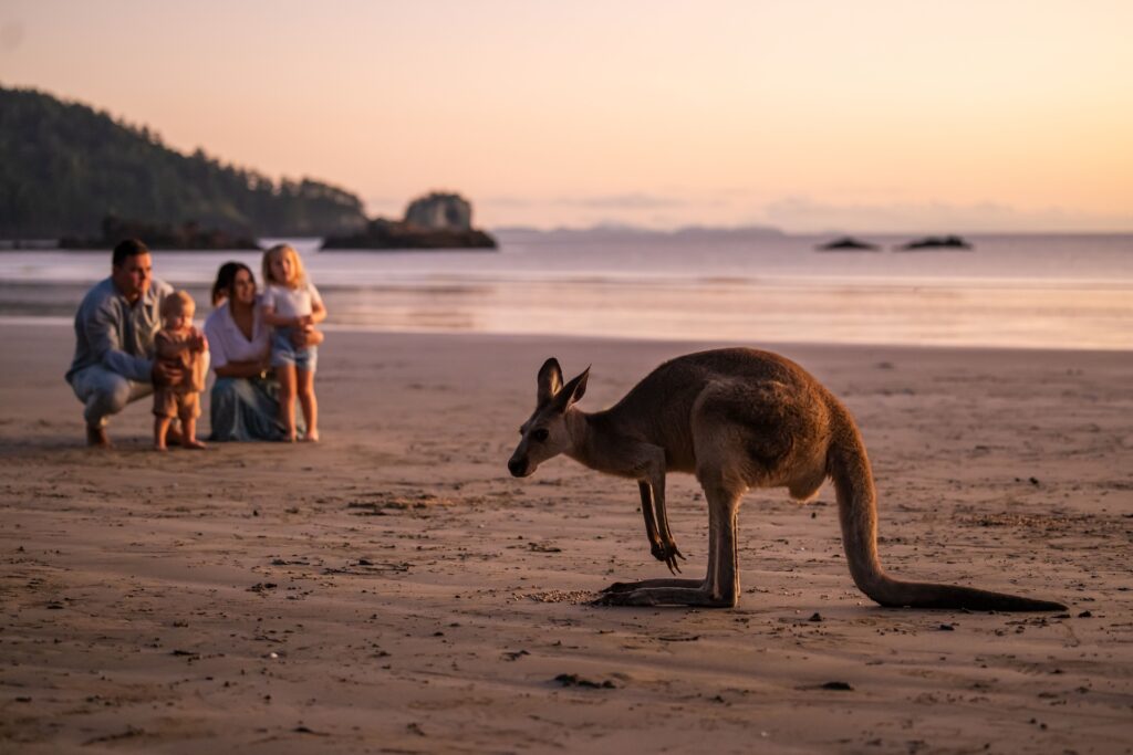 A kangaroo stands on sandy beach at sunset, with a family of four crouched in the background near the shoreline.