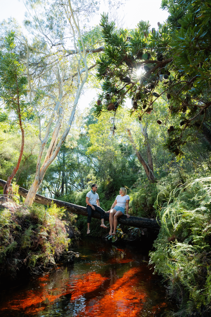 Two people sit on a log above a shallow, reddish stream in a lush, sunlit forest, surrounded by green foliage and trees.