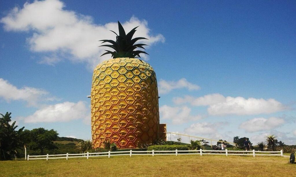 A large building designed to look like a pineapple stands on grassy land, surrounded by a white fence under a partly cloudy sky.