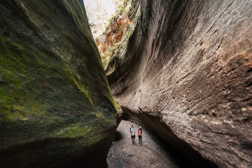 Two people walk through a narrow, tall canyon with steep rock walls and patches of green moss, under daylight.