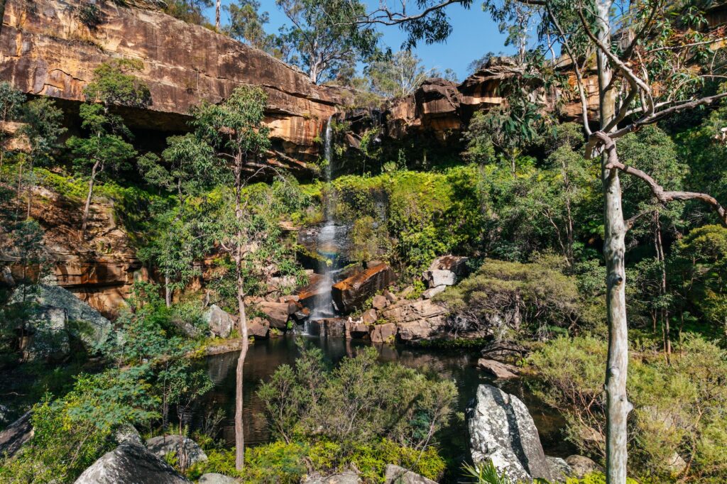 Rocky waterfall and small pool surrounded by lush green vegetation and tall trees under a clear blue sky.