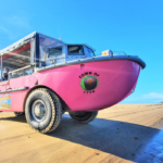 A pink amphibious tour vehicle labeled "Town of 1770" is parked on a sandy beach next to calm blue water under a clear sky.