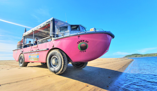 A pink amphibious tour vehicle labeled "Town of 1770" is parked on a sandy beach next to calm blue water under a clear sky.