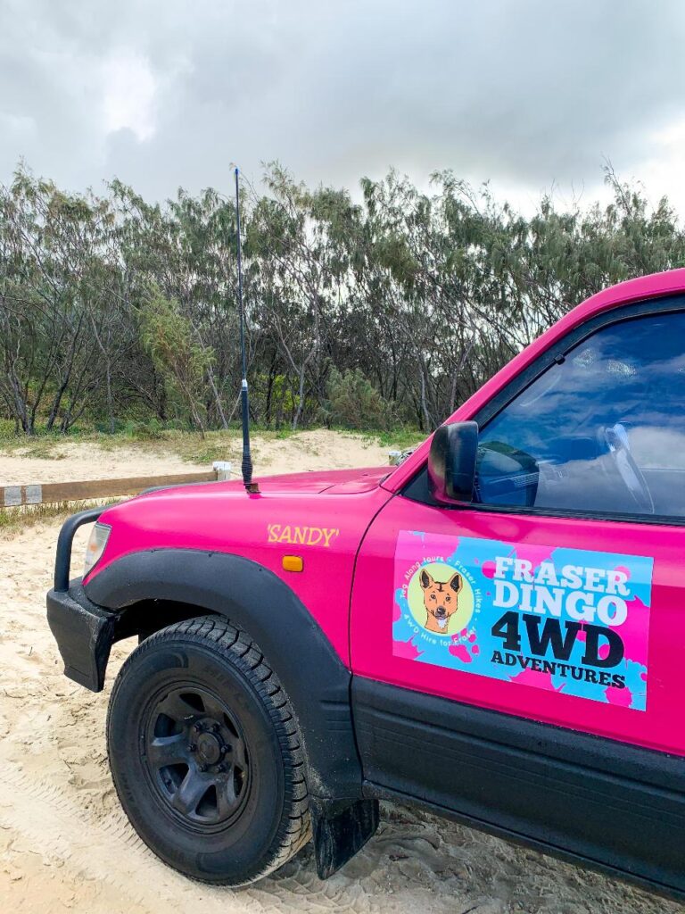 A bright pink 4WD vehicle labeled "Sandy" with a "Fraser Dingo 4WD Adventures" decal is parked on sandy ground near trees under a cloudy sky.