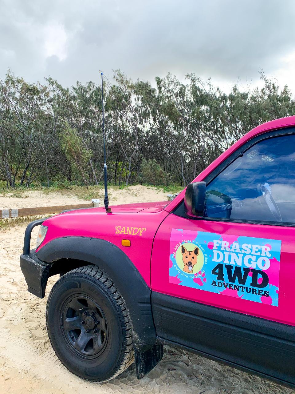 A bright pink 4WD vehicle labeled "Sandy" with a "Fraser Dingo 4WD Adventures" decal is parked on sandy ground near trees under a cloudy sky.