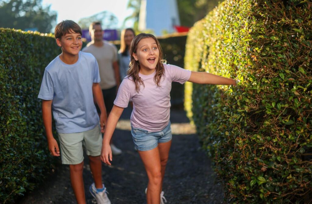 Two children walk through a hedge maze, smiling and looking ahead, while two adults follow behind them on a sunny day.