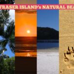 A collage shows Fraser Island scenes: a dingo, palm trees, sunset, forest, sandy beach, dingo paw prints, and ocean, with the text “DISCOVER FRASER ISLAND’s NATURAL BEAUTY!” at the top.