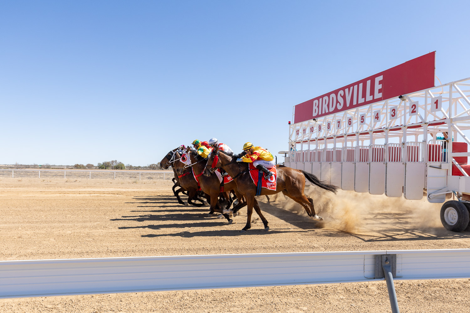 Horses with jockeys in colorful uniforms race out of the starting gates at Birdsville Racetrack on a dirt track under a clear blue sky.