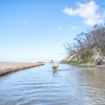 A dog stands in a shallow stream near a sandy beach with sparse trees and a blue sky in the background.