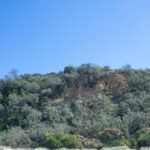 Two off-road vehicles are parked on sandy ground in front of a green hillside under a clear blue sky.