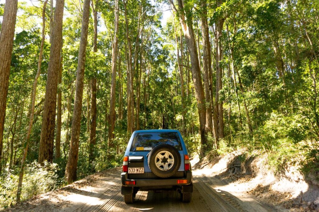 A blue SUV with a spare tire drives on a dirt road through a dense, sunlit forest with tall trees and green foliage.