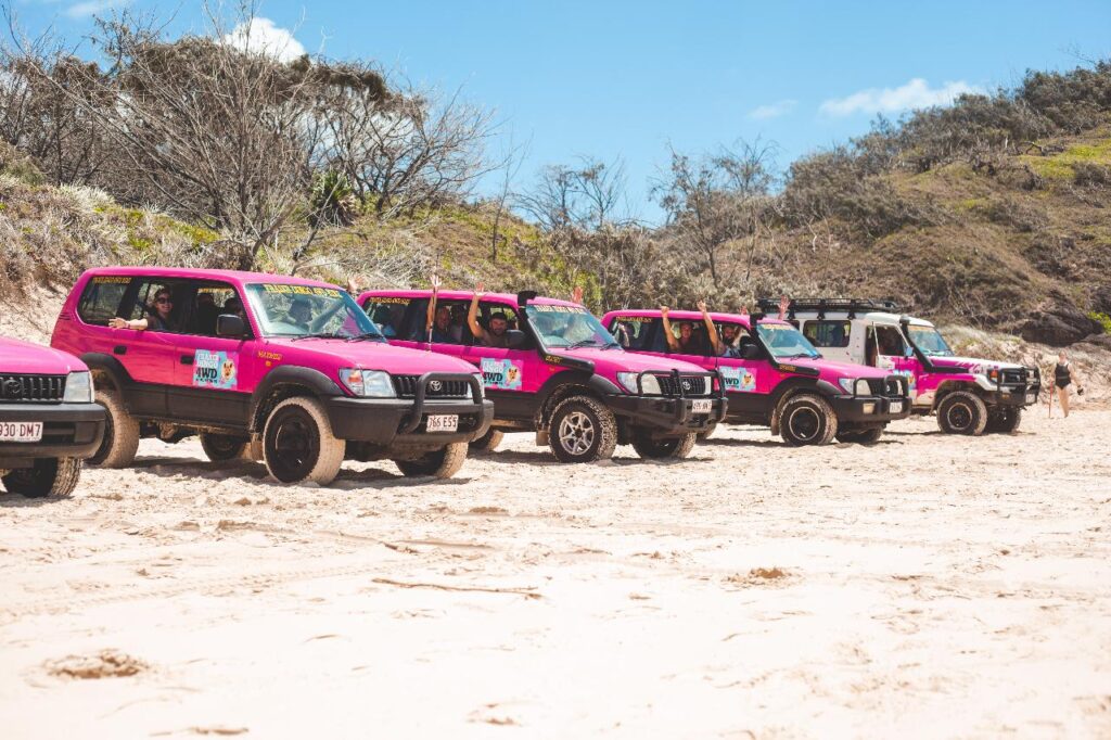A row of bright pink 4WD vehicles is parked on a sandy beach, with dry vegetation and clear blue sky in the background.