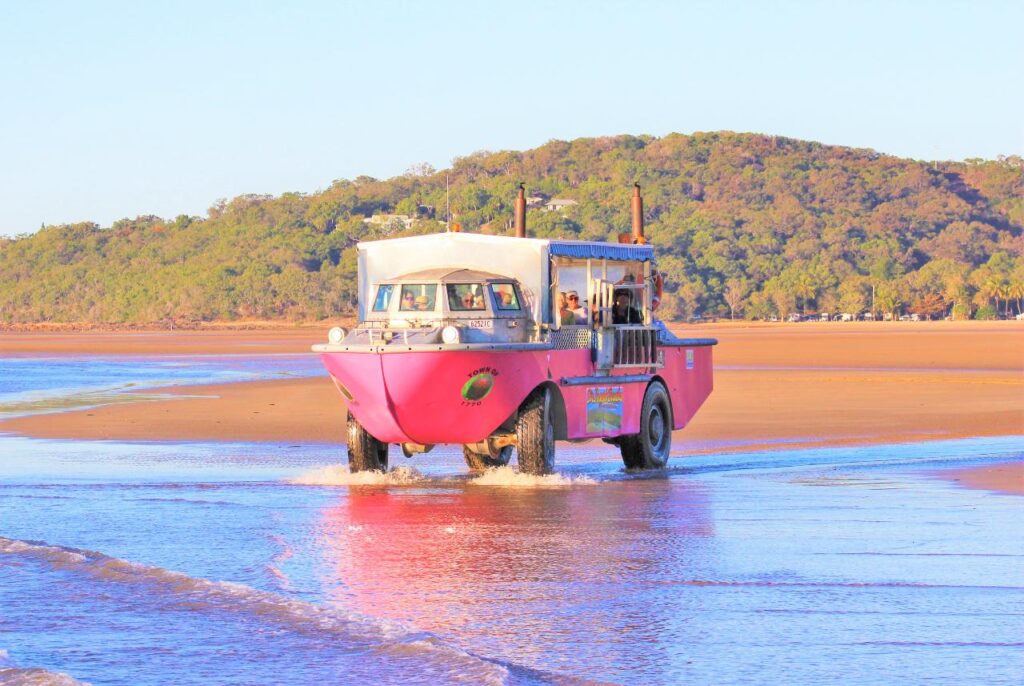 A pink amphibious vehicle drives from shallow water onto a sandy beach with a forested hill in the background.