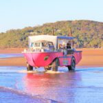 A pink amphibious vehicle drives from shallow water onto a sandy beach with a forested hill in the background.