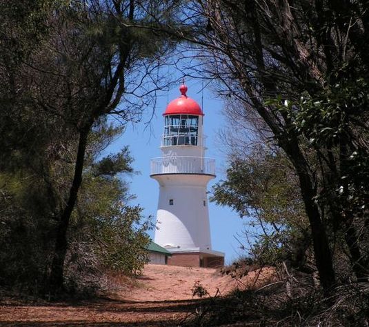 A white lighthouse with a red dome is framed by trees, standing on a sandy path under a clear blue sky.