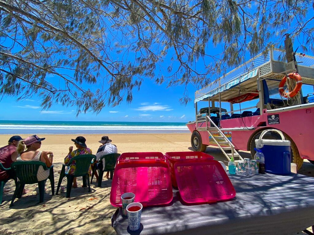 A group of people sit on plastic chairs under tree shade by the beach near a pink off-road vehicle, with trays and drinks on a table in the foreground.