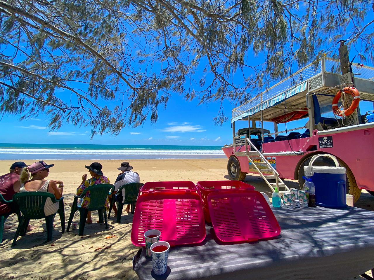 A group of people sit on plastic chairs under tree shade by the beach near a pink off-road vehicle, with trays and drinks on a table in the foreground.