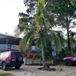 Two pink off-road vehicles are parked on a sandy area in front of a raised white building with a large veranda, surrounded by palm trees and greenery.
