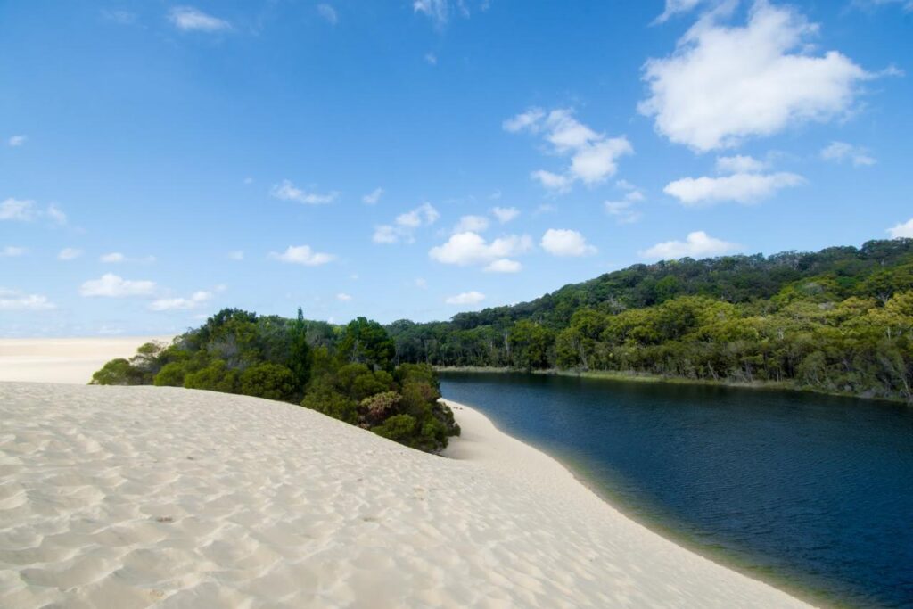 A sandy dune slopes down to a narrow, dark blue river bordered by dense green trees under a blue sky with scattered clouds.