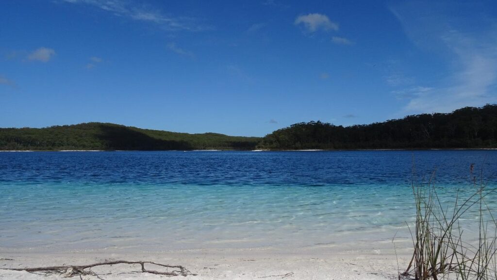A clear lake with blue water and white sandy shore, surrounded by green forest under a sunny blue sky.