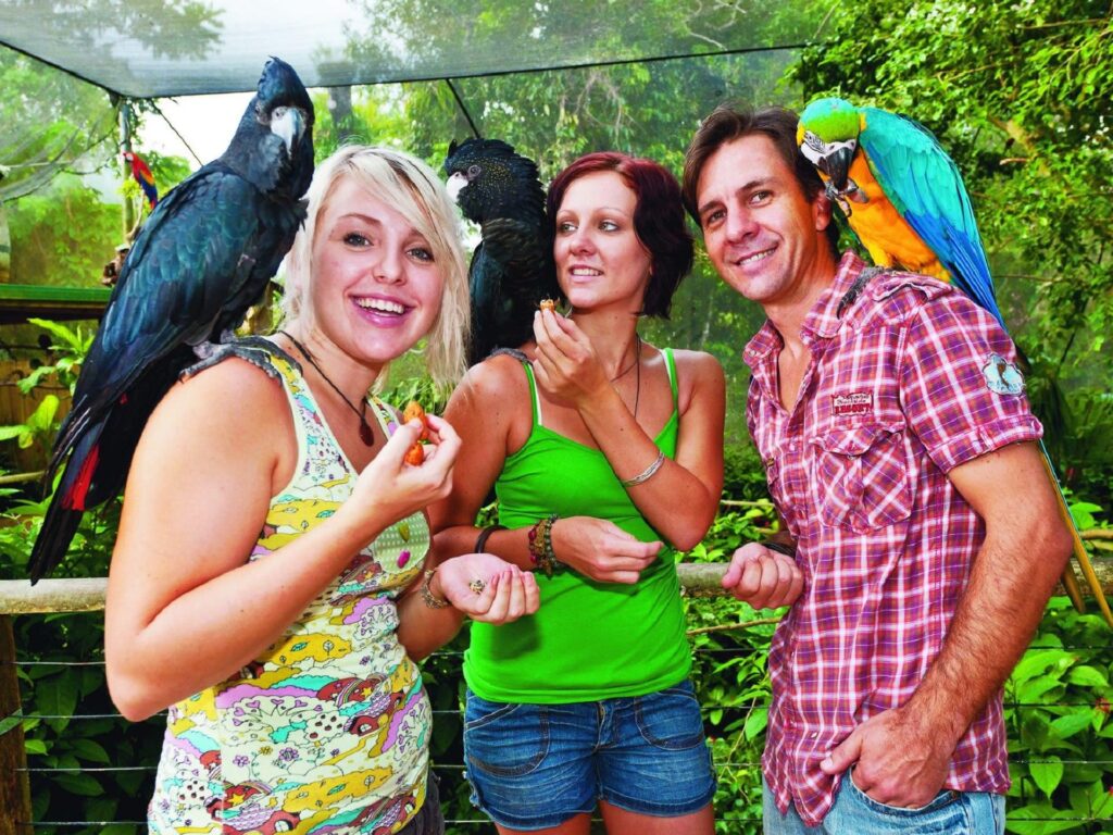 Three people standing outdoors with colorful parrots perched on their shoulders and arms, surrounded by lush greenery.