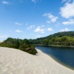 A sandy dune slopes down to a calm river bordered by dense green forest under a blue sky with scattered clouds.