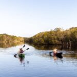 Two people kayak on a calm river surrounded by trees under a clear sky.