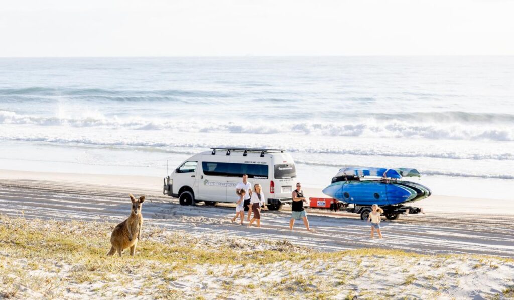 A kangaroo stands on the sand dunes near a group of people by a white van and jet skis parked on a beach, with waves in the background.