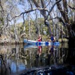 Two people in a blue and white kayak paddle through calm water surrounded by tall trees, with another kayaker in the background.