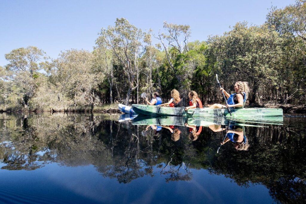 Four people paddle green kayaks on a calm river surrounded by trees, with clear reflections of the kayaks and foliage visible in the water.
