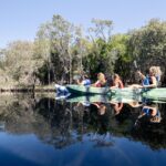 Four people paddle green kayaks on a calm river surrounded by trees, with clear reflections of the kayaks and foliage visible in the water.