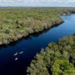 Aerial view of three kayaks on a winding river surrounded by dense forest, with a sandy beach and ocean visible in the distance.