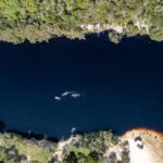 Aerial view of a dark blue river bordered by dense green trees, with a small sandy beach and a building near the lower right edge.