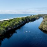 Aerial view of a calm, dark blue river bordered by dense green forest, with several kayakers paddling in the water near the coastline.
