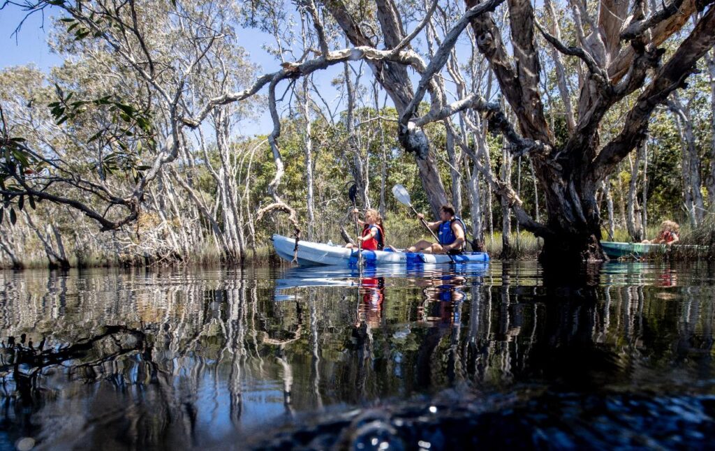 Two people paddle a kayak on a calm, reflective body of water surrounded by tall, leafless trees; another person is visible in a separate kayak in the background.