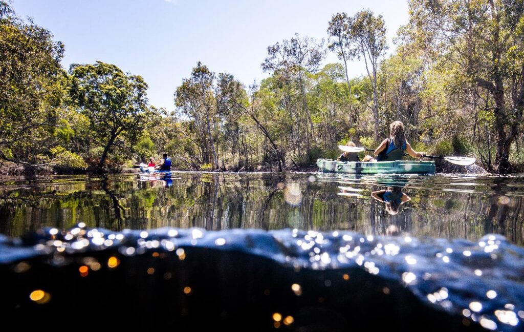 Two people paddle kayaks through a calm, tree-lined waterway on a sunny day, with light reflecting on the surface of the water.