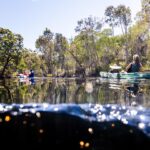 Two people paddle kayaks through a calm, tree-lined waterway on a sunny day, with light reflecting on the surface of the water.