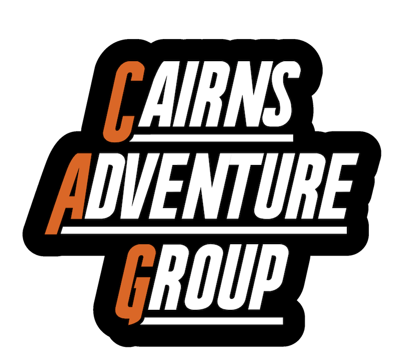 Logo with bold text reading 